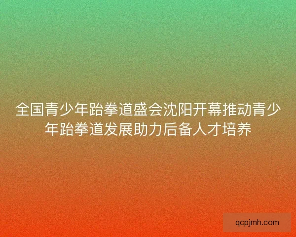 全国青少年跆拳道盛会沈阳开幕推动青少年跆拳道发展助力后备人才培养